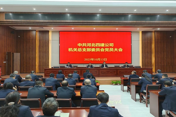 公司機關(guān)黨總支圓滿(mǎn)完成換屆選舉工作